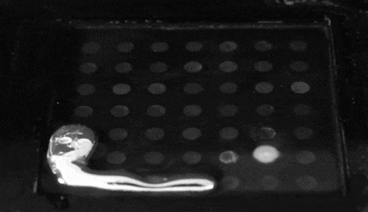 プログラミングで形状を変化させることがで