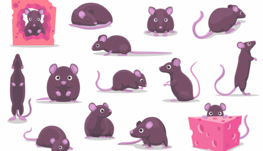 ラットの会話を深層学習で解読するシステム