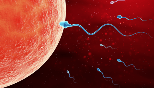 機械学習で良好精子を選別。不妊治療におけ