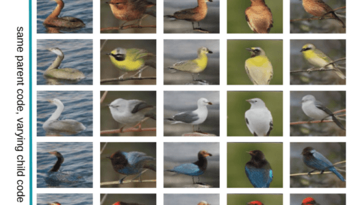 細分化された階層的な画像生成と画像分類を