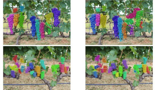 ぶどう畑の救世主 !? 新たなデータセッ