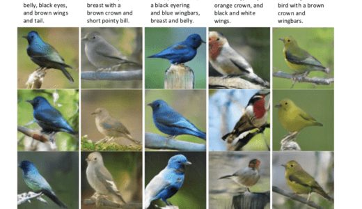 生成画像を思い通りに！？　生成画像の制御